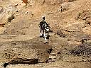 20010526182434.jpg