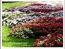 20010902144530.jpg
